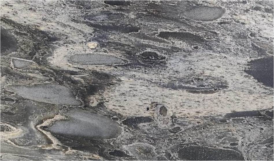 SL VERMA TRIX POLISH